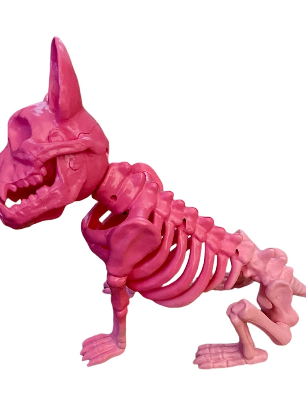 Skeleton Dog - Picture 3 of 3
